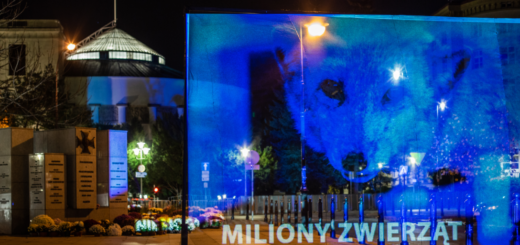 Hologram pod Sejmem z apelem do polityków o szybkie wprowadzenie w Polsce zakazu hodowli zwierząt na futra